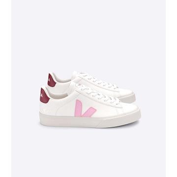 Men's Veja CAMPO CHROMEFREE Low Tops Sneakers White/Pink | ZA 193WNB